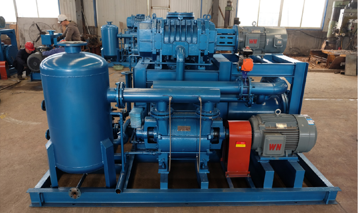      ZJQL600-2BE-202电厂凝汽器用真空节能设备